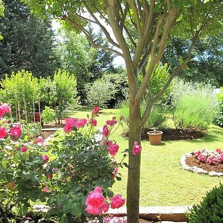 Apartmán Milena Labin (Istria)